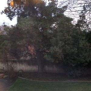 Meet your Posher, Abigail